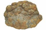 Polished Baryte and Marcasite - Lubin Mine, Poland #212778-2